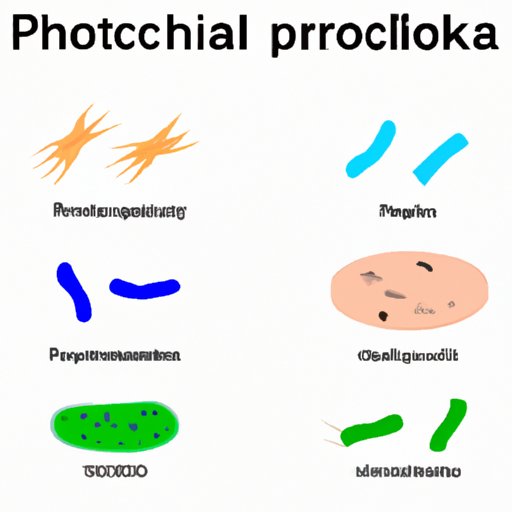 The Surprising Domains that House Prokaryotes: A Comprehensive Look