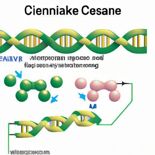 The Enzyme Responsible for Covalently Linking Nucleotides: A Breakdown of DNA Ligase