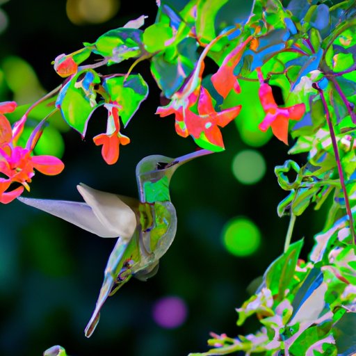 Attracting Hummingbirds to Your Garden: Top 5 Flowers