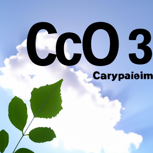The Power of Photosynthesis: Removing Carbon Dioxide and Other Harmful Gases from the Atmosphere