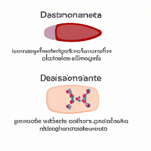 Somatostatin: The Regulatory Hormone Secreted by the Delta Cells in the Pancreas