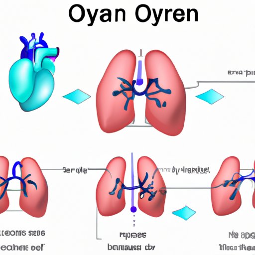 The Role of the Left Atrium in Oxygen Delivery to the Body