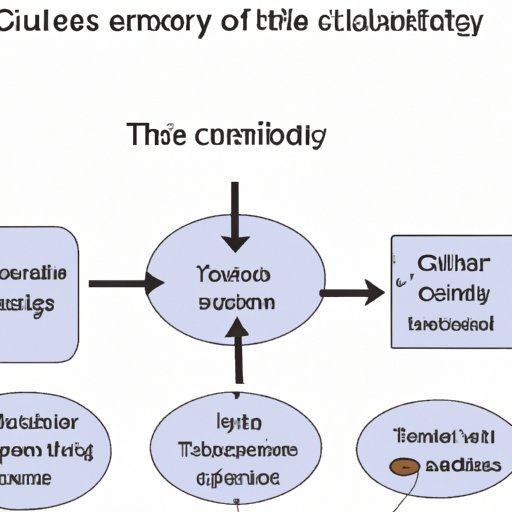 The Five Tenets of Cell Theory: Understanding the Fundamental Building Blocks of Life