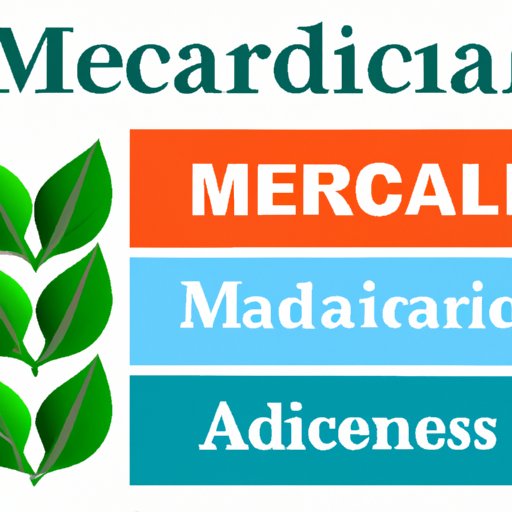 Medicare Advantage vs Medicare Supplement: Which Plan is Right for You?