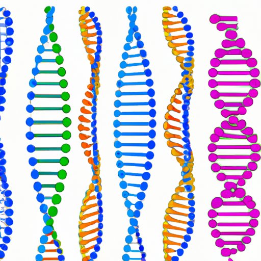 Exploring Nucleotides: The Building Blocks of DNA and RNA