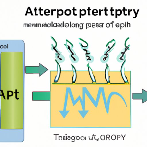 ATP: The Energy Currency of the Cell