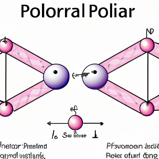 Exploring Which Molecules are Polar: The Importance of Polarity in Biological and Chemical Processes