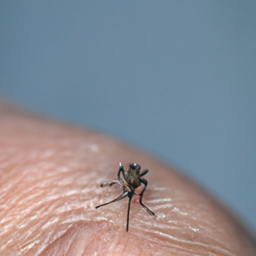 Which Mosquitoes Bite: A Comprehensive Guide to Avoiding Mosquito Bites