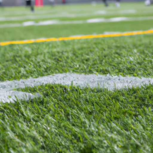The Top NFL Stadiums with Real Grass in 2022: Benefits and Drawbacks