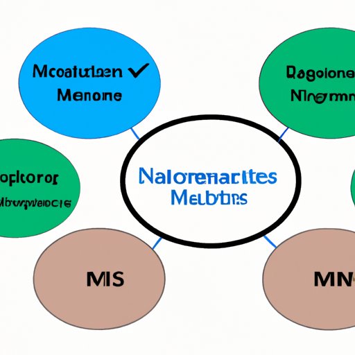 The Importance of Developing and Issuing in NIMS Management