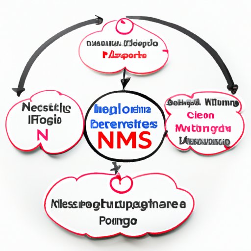 NIMS Management and Developing: Key Strategies, Case Studies, and Benefits