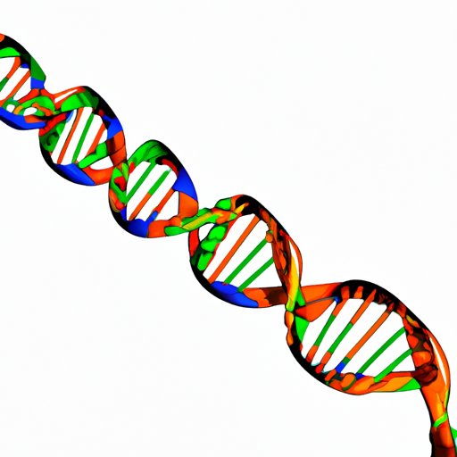 The Master Code for Protein Synthesis: Exploring the Role of Nucleic Acids