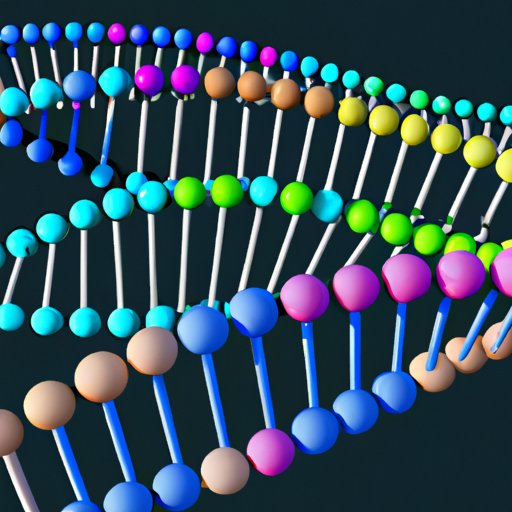 The Shortest DNA Molecule: A Race to Unravel the Mystery