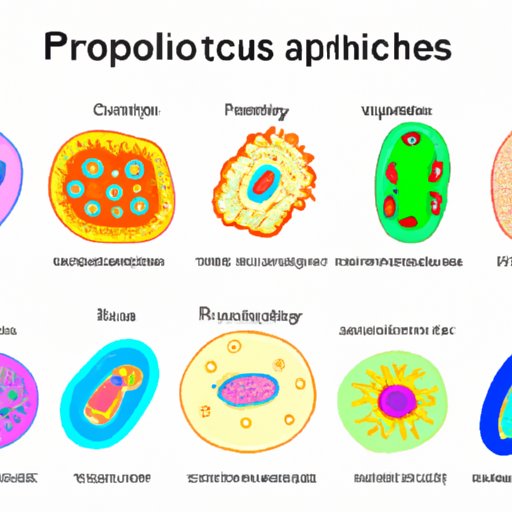 What Do All Prokaryotes and Eukaryotes Share: Exploring the Key Similarities