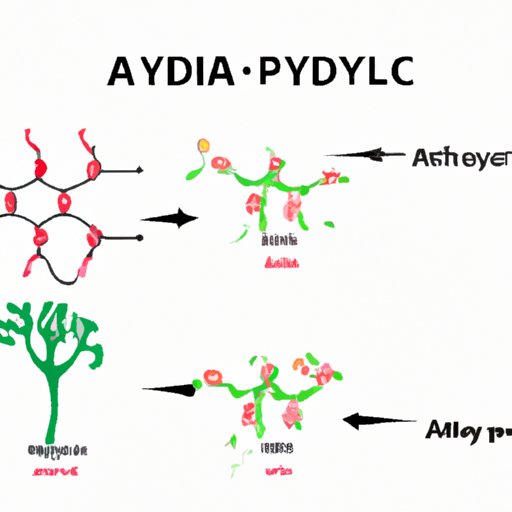 Which of these is not a product of glycolysis: Understanding the byproducts, limitations, and significance of glycolysis products in cellular respiration