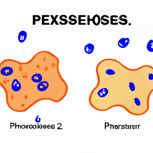 Perxisomes and H2O2 Production: Beneficial and Harmful Effects