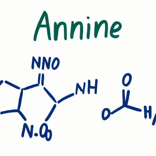 Identifying the Amino Group: Understanding Its Structure and Importance in Organic Chemistry and the Body