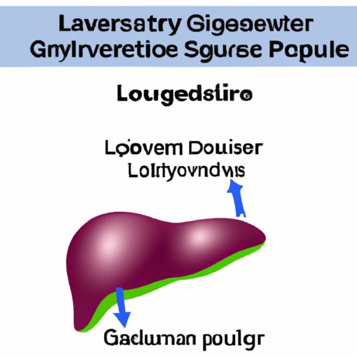 The Liver: The Primary Storage Site for Glycogen in the Human Body