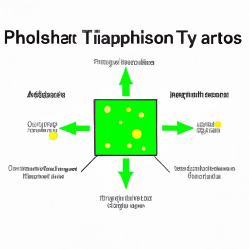 The Home of Photosynthesis: Exploring Which Organelle Photosynthesis Occurs In