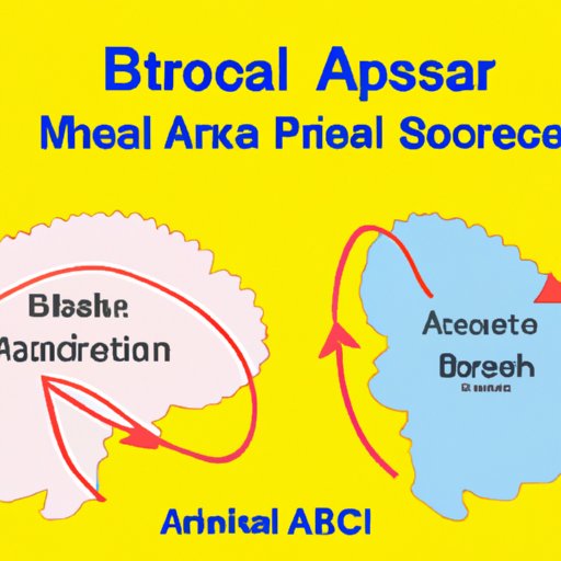 The Mystery of Speech Production: Understanding the Role of Broca’s Area and Other Brain Regions