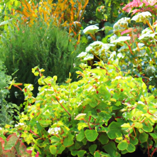 Top 10 Low-Maintenance Perennial Plants for Every Garden