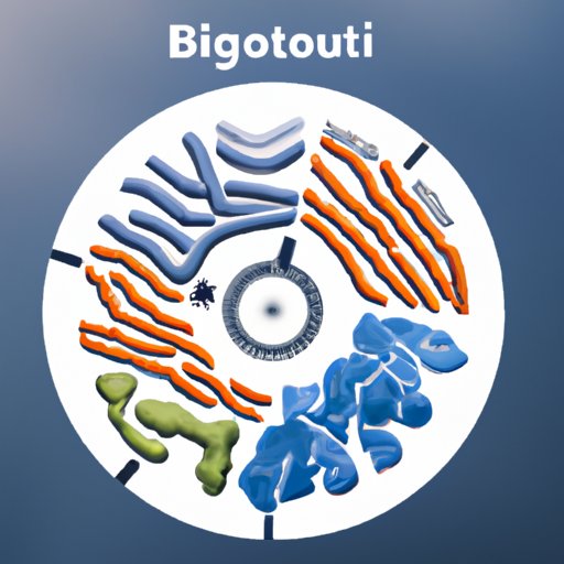 The Best Probiotic for Bloating and Gas: A Comprehensive Guide