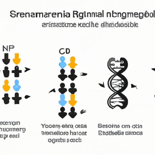 Exploring Bi-Parental Genetic Recombination: The Magic of Parental Genes and Their Role in Creating Diversity