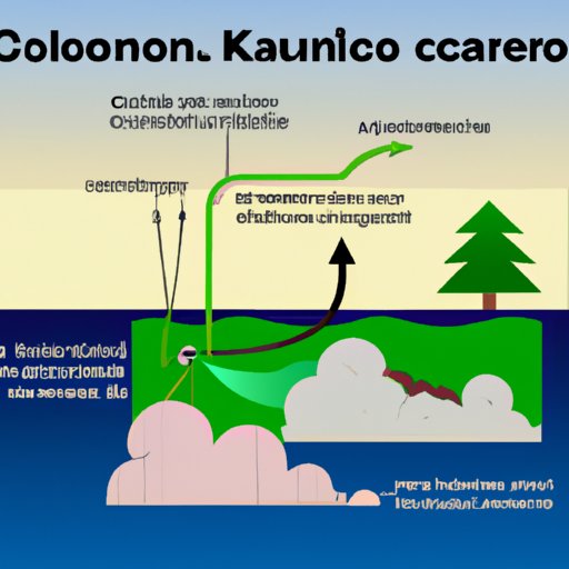 The Processes Involved in Removing Carbon Dioxide from the Atmosphere