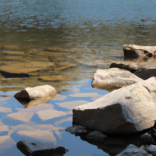 The Mystery of Stones That Float: Exploring the Science Behind Buoyancy