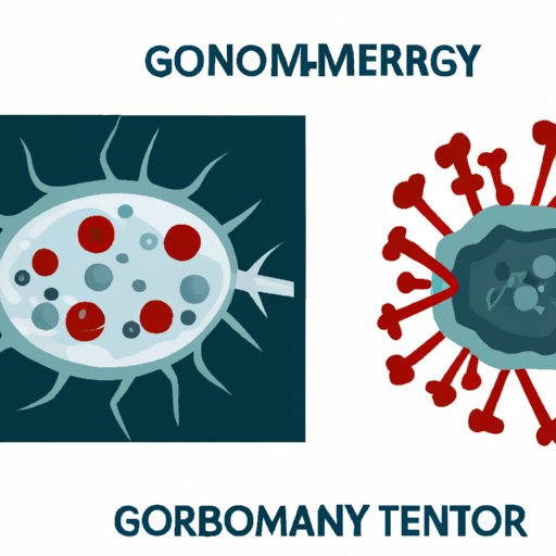 The Developments of Germ Theory: Exploring Scientific Discoveries and Their Impact on Modern Medicine