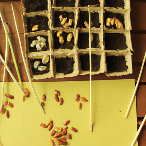 The Fast and the Sprouted: A Guide to the Fastest Growing Garden Seeds