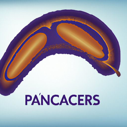 Which Side is the Pancreas On: A Comprehensive Guide to Locating Your Pancreas