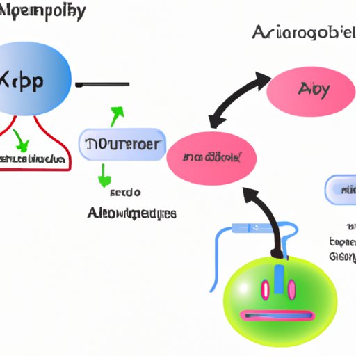 The Power of Cellular Respiration: Which Stage Produces the Most ATP?
