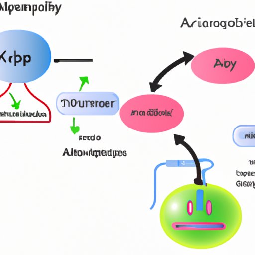 The Power of Cellular Respiration: Which Stage Produces the Most ATP?