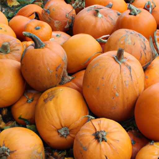 The Great Pumpkin Hunt: Exploring the Top Pumpkin Producing State in the US