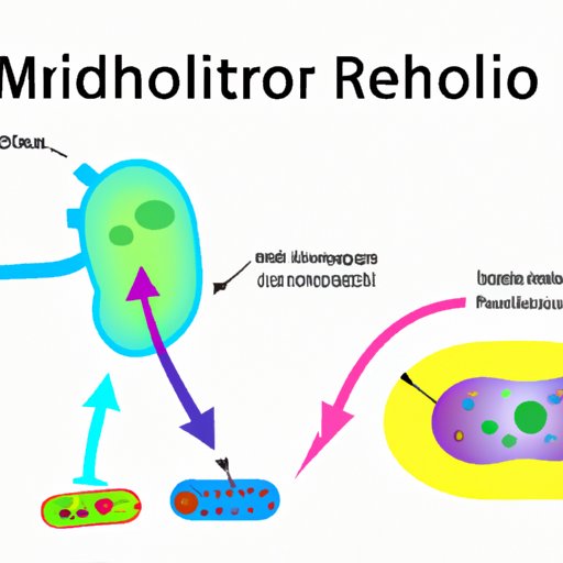 What Statement About Cellular Respiration is True?