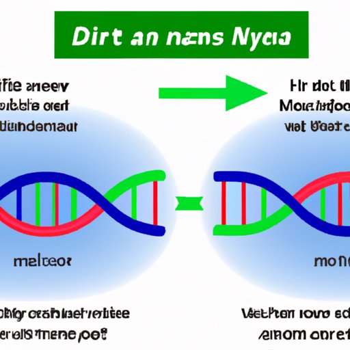 The Truth Behind DNA Replication: Debunking Common Misconceptions