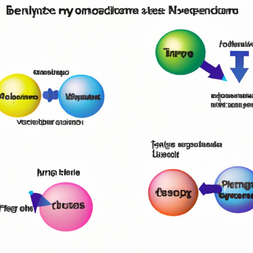 Debunking Common Misconceptions About Enzymes: Separating Fact from Fiction