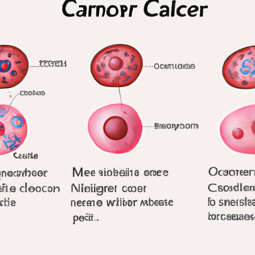 Understanding Cancer Cells: What Makes Them Unique