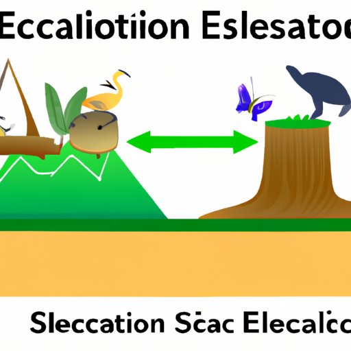 The Complexity of Ecological Succession: Understanding Stages, Processes, and Impacts on Conservation