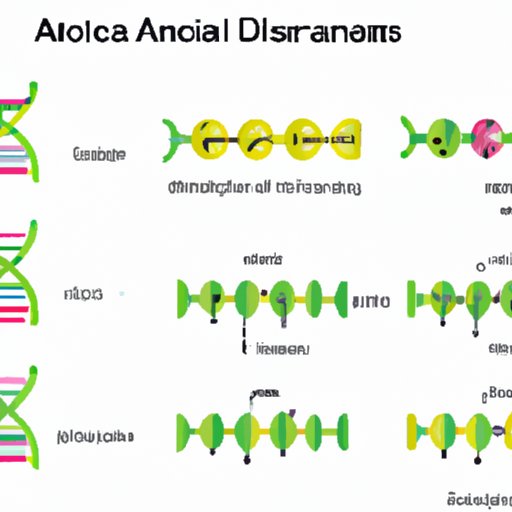 Nucleic Acids vs. Carbohydrates: A Comparative Analysis