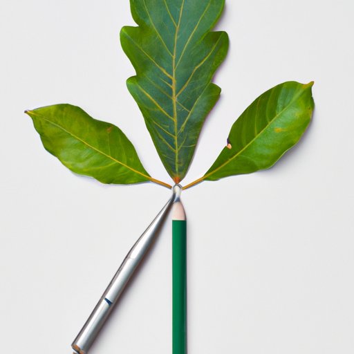 The Basics of Natural Selection: Understanding Evolution and Adaptation