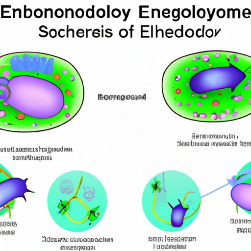 The Endosymbiotic Theory Under Scrutiny: Weaknesses, Inconsistencies, and Alternatives