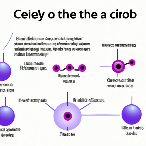 The Importance of Understanding the Components of the Cell Theory in Biology