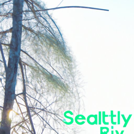 The Art of Haiku: Understanding the Fundamentals, Rules, and Techniques