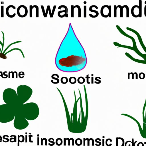 The Taxonomic Domain of Multicellular Photosynthetic Organisms
