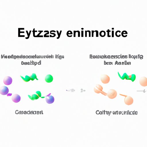 The Ultimate Guide to Understanding Enzymes: Demystifying the Term That Describes Them