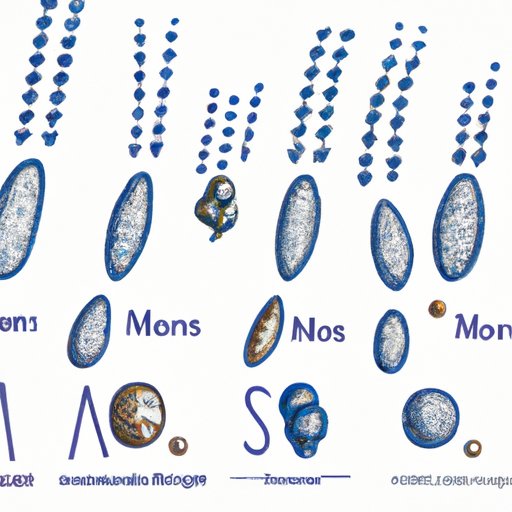 The Two Processes That Increase Genetic Variation: Mutation and Meiosis