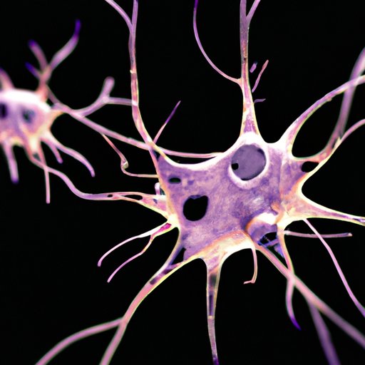 The Different Types of Glial Cells in the Human Brain: An In-Depth Analysis