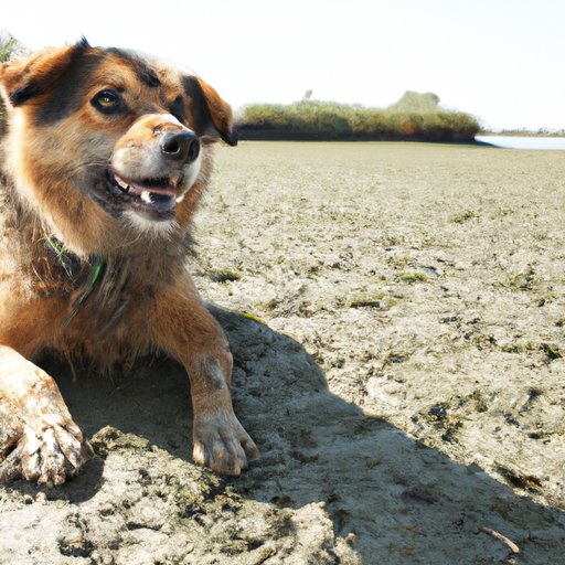Why Am I Itchy Down There? Understanding and Soothing Vaginal Itching